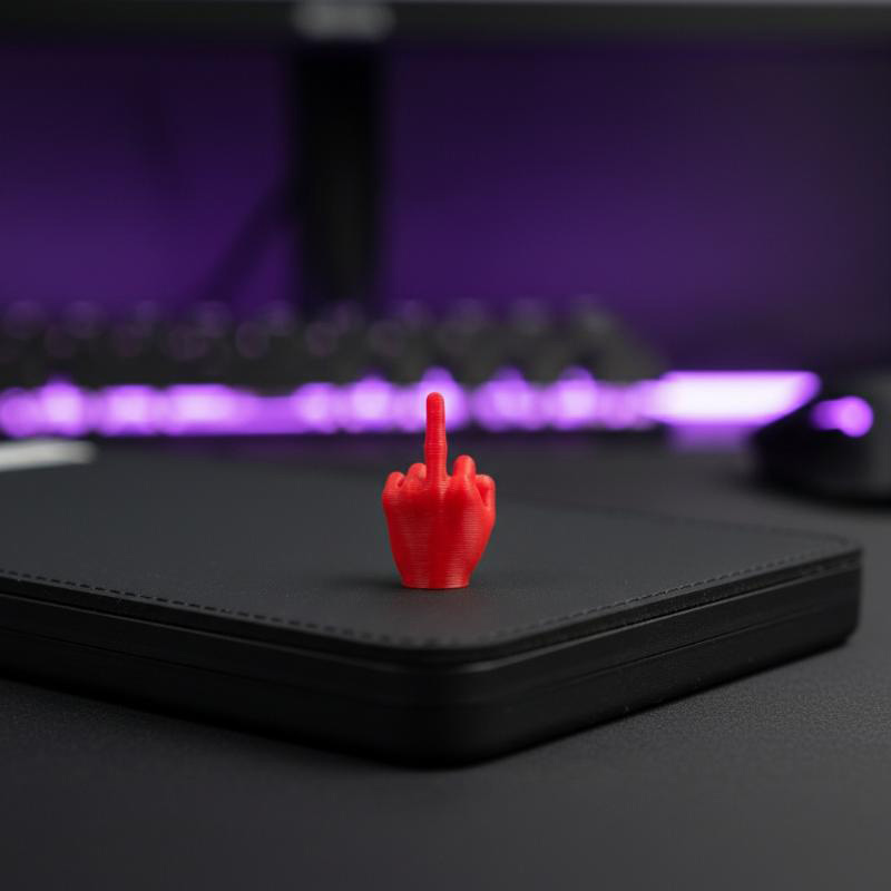 3d Printed Middle Finger Hand  - 3D Printing Mockup 评论和价格