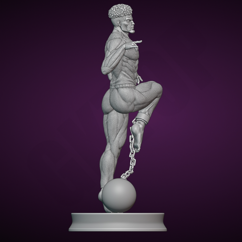 Sexy Pure Prisoner 1/24 Scale  - 3D Printing Rabbit 评论和价格